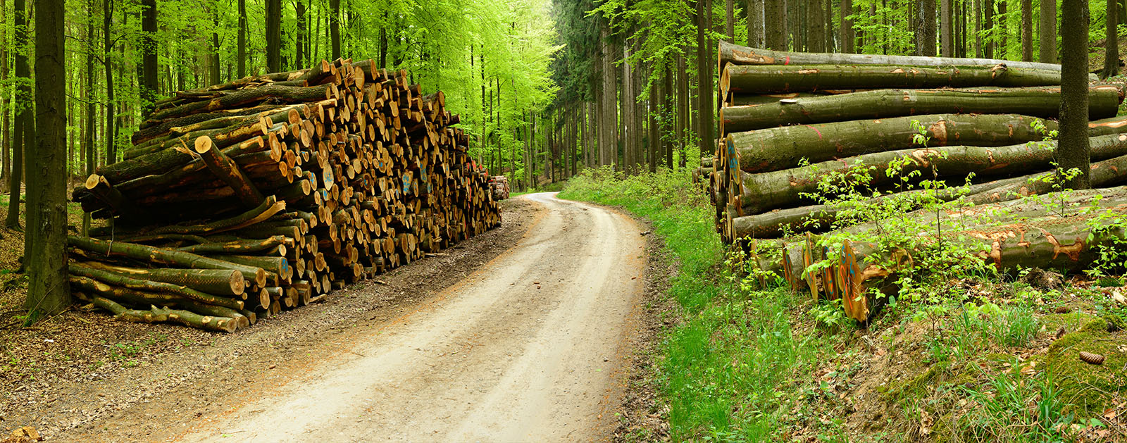 Environmental and commercial management