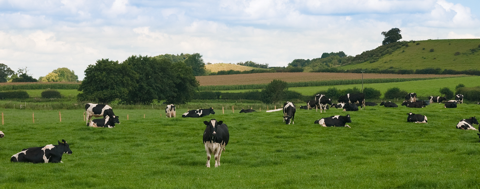 Traditional Farming and Protectors of the Landscape