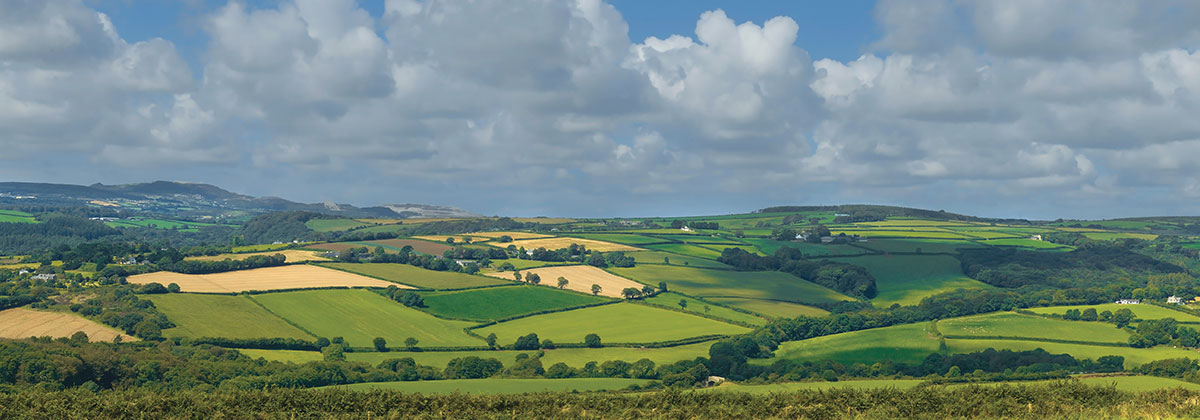 farming image
